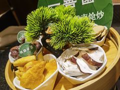 -一善菌·云南菌汤·云南菜(银泰城店)