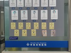-申普宠物医院·心脏介入·心血管微创(总院)
