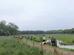 -艾溪湖湿地公园