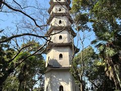 -江心屿景区