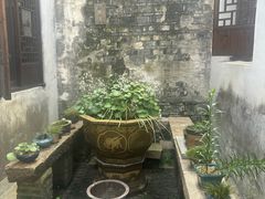 -月栖华明-云间草堂清茶馆(泗泾古镇店)