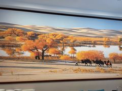 -新疆巴州金丝特餐厅(大钟寺店)