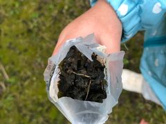 -苏州河梦清园环保主题公园