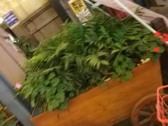 -谢智冷沾沾(万达金街店)