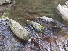-周洛大峡谷