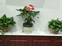 -鲁班小馆(政四街店)
