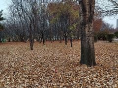 -长春公园(普阳街道)