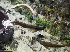 -福州罗源湾海洋世界旅游区