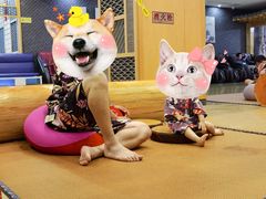 -金沙汤泉·足道洗浴汗蒸