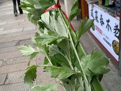-葑门横街