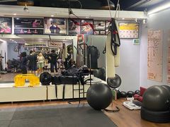 -温鉴良实用咏春拳