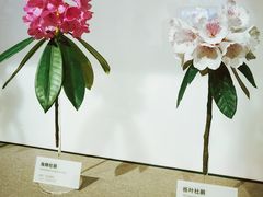 -四川大学博物馆
