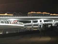 -演武大桥观景平台