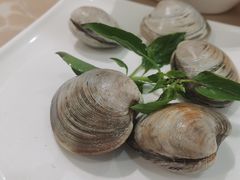 -海大大蒸汽海鲜餐厅·粤菜·特色小炒(欢乐颂店)