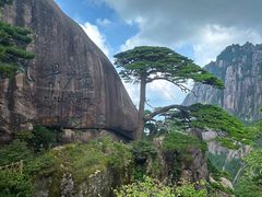 -黄山风景区