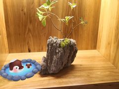 -八间(合生汇店)
