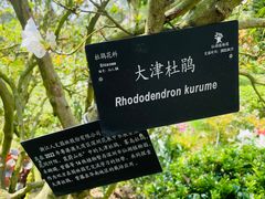 -深圳仙湖植物园