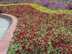 -七宝老街-闵行市民文化广场