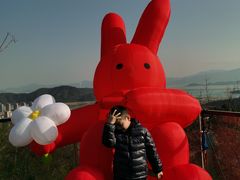 -黄贤森林公园