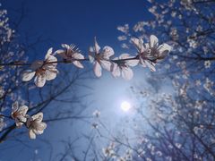 -滨河世纪广场公园