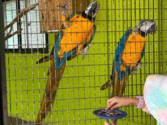 -北京野生动物园