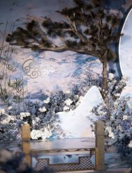 点击看大图 -米迪婚礼