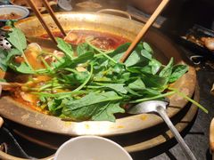 -九鼎轩脆毛肚火锅(南京东路店)