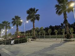 -宝安西湾红树林湿地公园