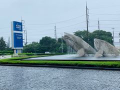 -王权免税店(普吉市区店)