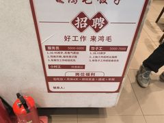 -鸿毛饺子(紫竹桥店)