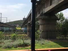 -永定河休闲森林公园