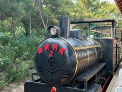 -南戴河国际娱乐中心