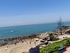 -广东惠东海龟国家级自然保护区