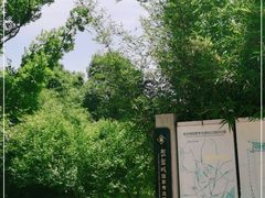 -盘龙城国家考古遗址公园