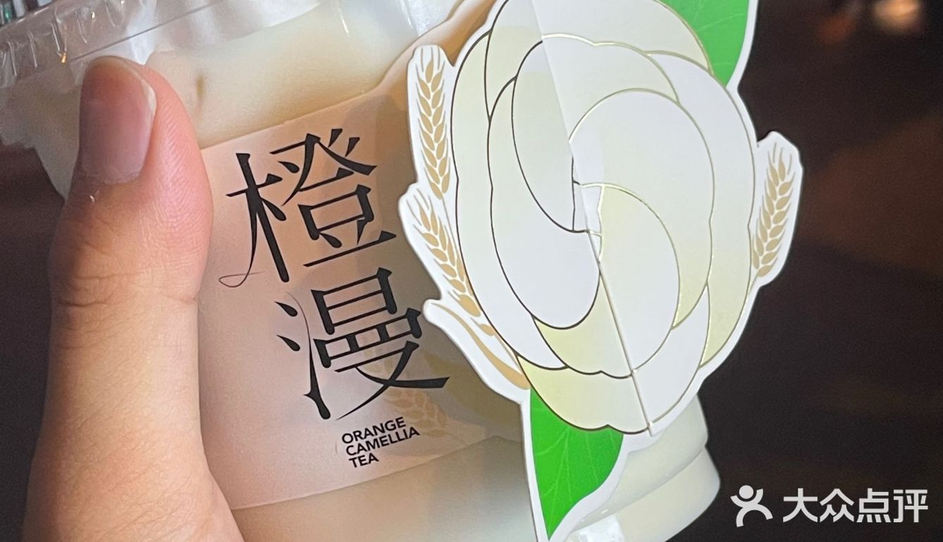 书亦山茶花🍃｜也没那么难喝吧