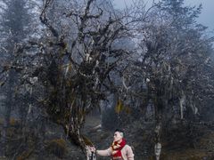 -硗碛藏寨·神木垒景区