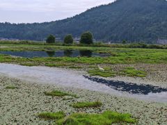 -腾冲北海湿地
