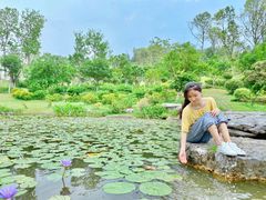 -东莞植物园