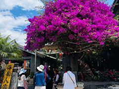 -海韵人家.海景花园经典云南菜(双廊店)