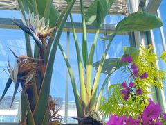 -国家植物园南园