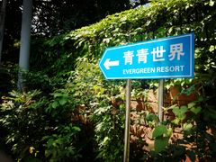 -青青世界