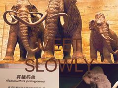 -大庆市博物馆