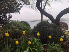 -浙江西子宾馆·瑶园咖啡厅