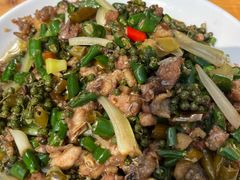 -铁山坪森林公园