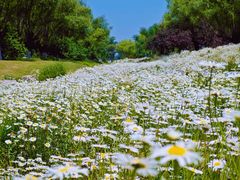-汉长安城未央宫国家考古遗址公园