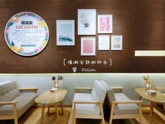 大堂-藏猫猫咖啡主题馆(中央大道店)