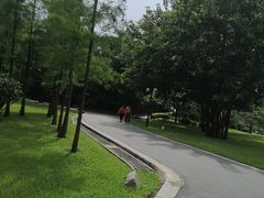 -晓港公园