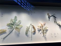 -上海科技馆(地铁站)