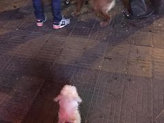 -So Lounge索兰至餐厅(蓝色港湾店)