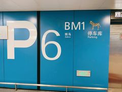 -虹桥综合交通枢纽-P6停车库